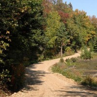 Trail and Paths